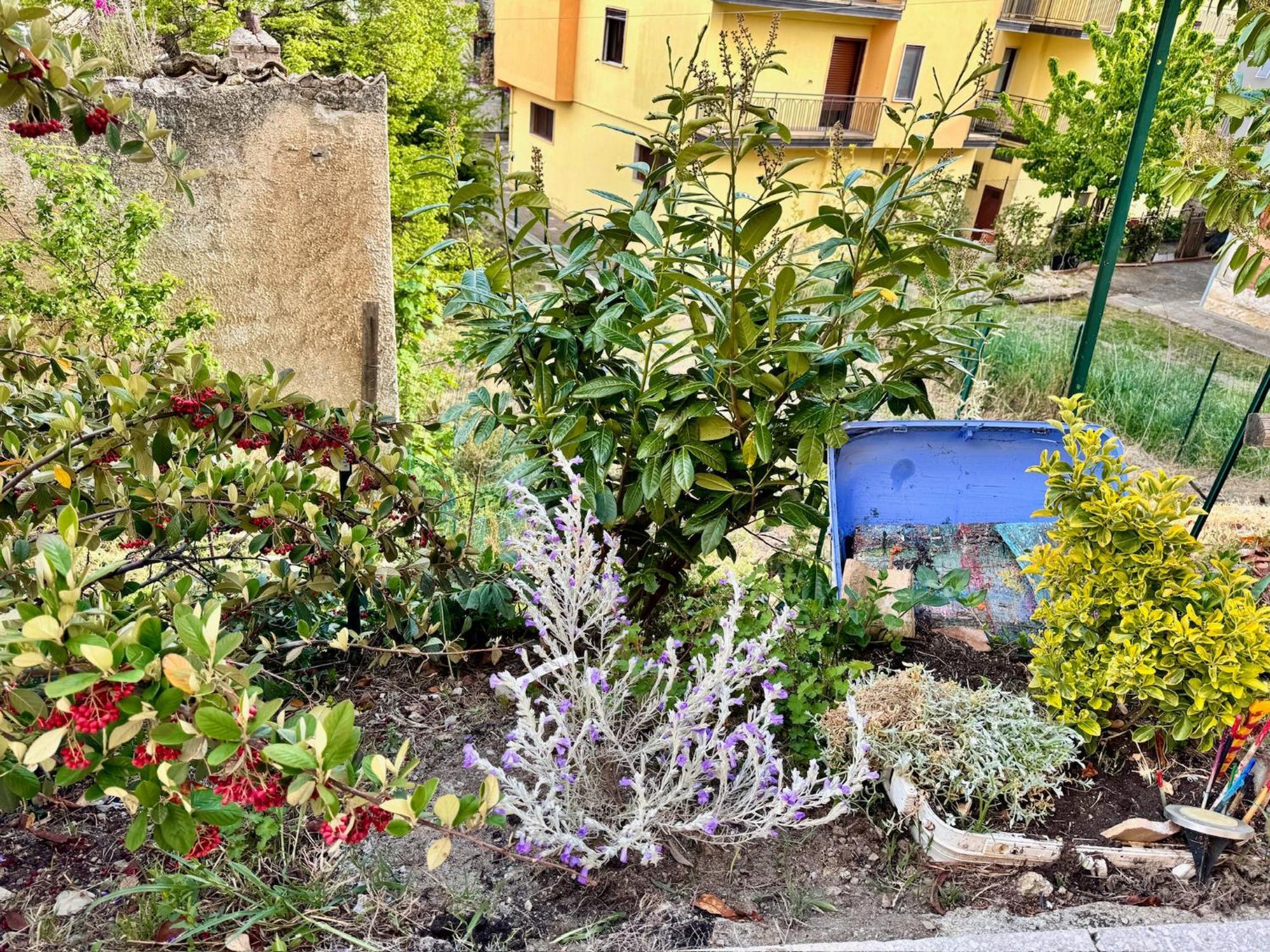 La Casa Dell'Artista Di Vittorio Vertone Pietragalla Eksteriør bilde